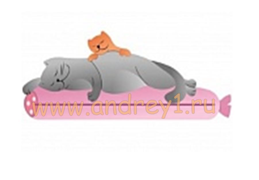 Полка "Коты 5"